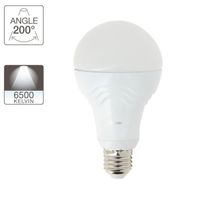 Ampoule LED A60, culot E27, 14,2W cons. (100W eq.), lumière blanc froid