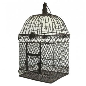 Grande Cage Oiseaux