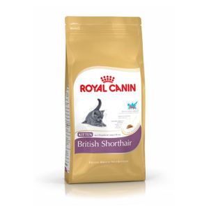 Croquette Chat Royal Canin Cdiscount Animalerie