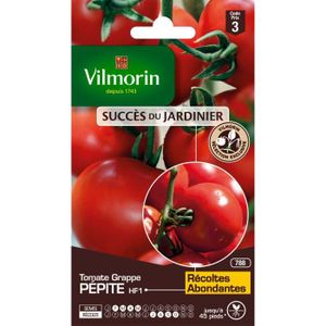 GRAINE - SEMENCE VILMORIN Sachet graines de Tomate grappe PEPITE - 