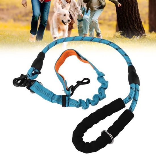 Ceinture De Sécurité Double Pour Chien - Harnais Auto Réglable 2 En 1 Anti-nœuds, Avec Rembourrage élastique