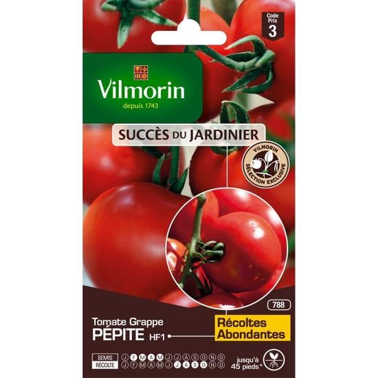 VILMORIN Sachet graines de Tomate grappe PEPITE - Création VILMORIN