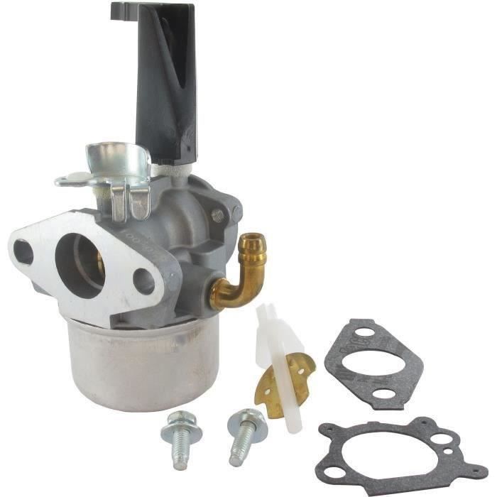 Carburateur adaptable BRIGGS & STRATTON pour moteurs 190 cc à vilebrequin horizontal 110432, 110437, 110452, 110492, 110412, 111452,