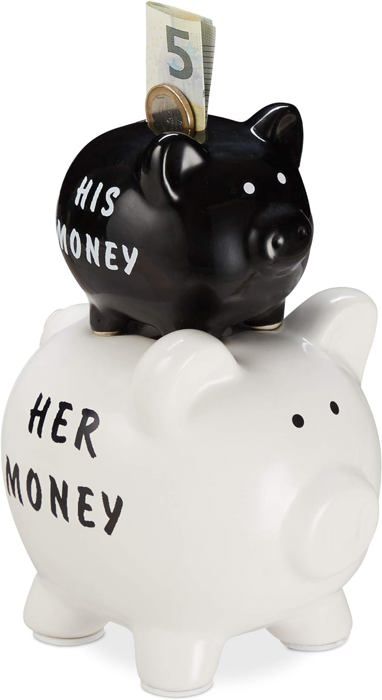 Tirelire - Tirelire - Mignon Bébé Cochon D'Inde - Tirelires - Adultes - Enfant