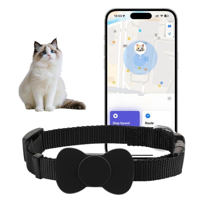 Collier GPS Chat Apple Find Sans Frais Mensuels iOS Android Positionnement Global