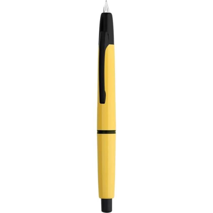 Etui noir pour 1 stylo-plume de Pilot - Nibs Plus Ultra