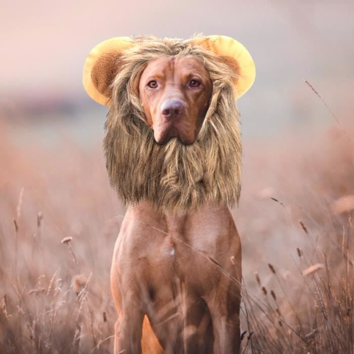 Peluche de lion on sale