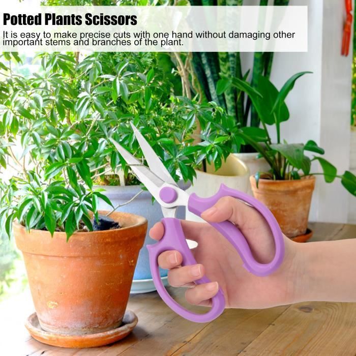 Cisailles De Jardin Professionnelles JiveSnip - Lames Titane - Pour Taille Haies, Plantes Et Fleurs - Confortable Et Efficace