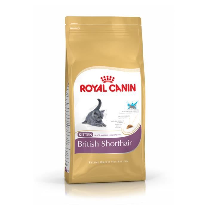 Croquettes pour Chaton - Royal Canin - British Shorthair -