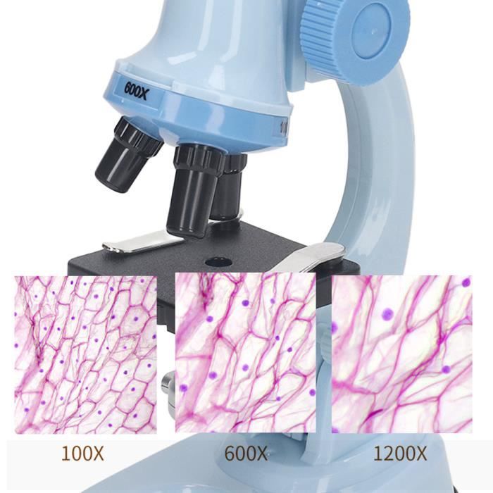 Microscope Numérique Pour Enfants – 50x à 1000x – écran IPS 2 Pouces, 1080p, 2MP – Batterie 600 MAh – Portable – Dès 3 Ans (violet)