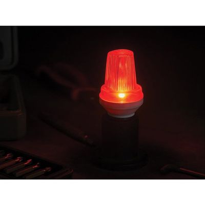 Lumière stroboscopique Paul C. Buff DigiBee DB800 (NOIR) avec lampe de