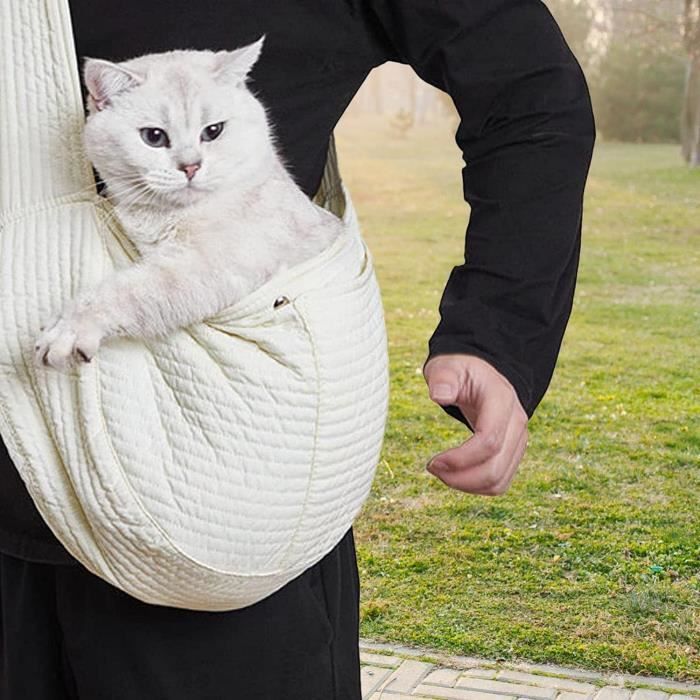Porte B b Pour Chat Approuv Par La Compagnie A rienne Pet