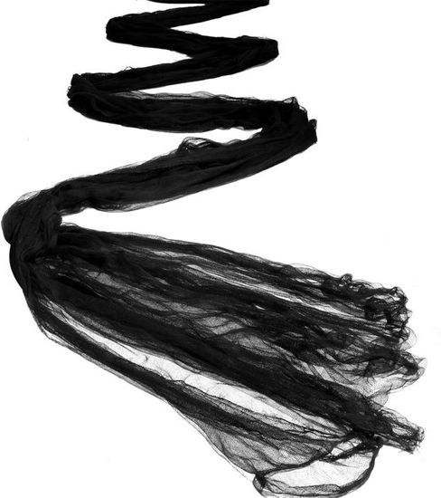 Tissu Effrayant Halloween 2m X 10m - Gaze Noire Pour Décorer Maison Hantée, Portes, Fenêtres - 9