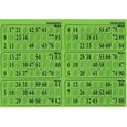 Planche de 6 grilles de loto 29x20cm carton epais Plaque 90 numeros Coloris vert menthe Set materiel jeu bingo et carte-0