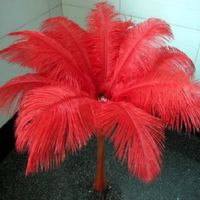 Belle plume d'autruche rouge 35 40 cm-14 to16 pouces vente en gros 10 pièces feather pad