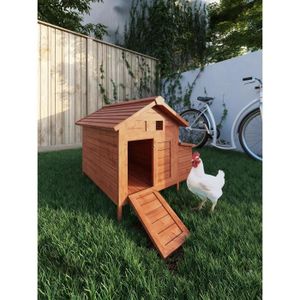 Petit poulailler - Cdiscount