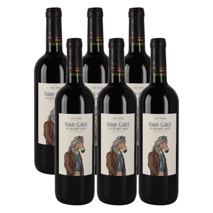 Haut Galot 2018 - Haut Médoc - Vin Rouge - Carton de 6 bouteilles 75cl