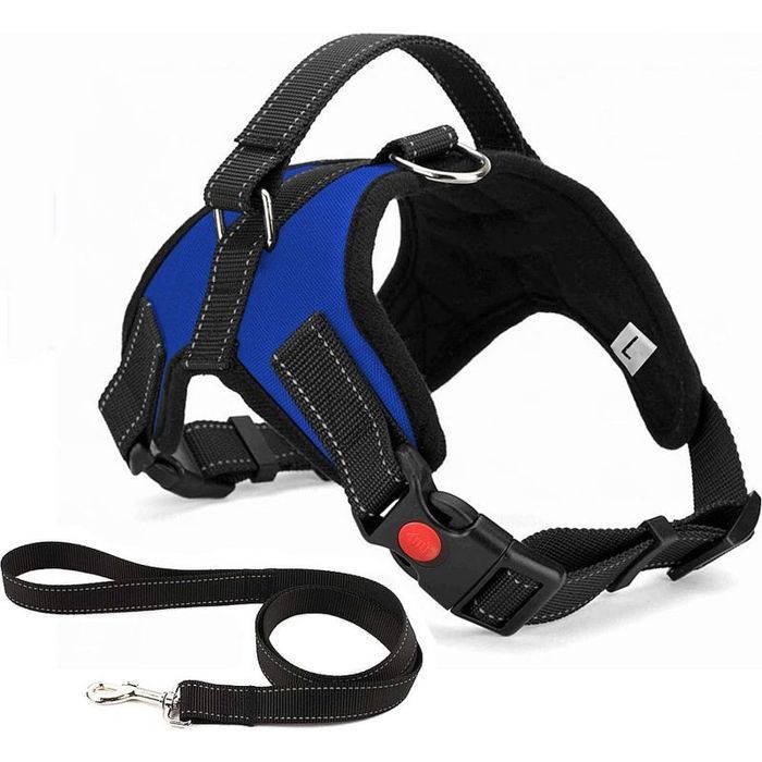 Harnais de sécurité pour chien de traction réglable et respirant pour le confort y compris la laisse pour les petits bleu Harnais de sécurité pour chien de traction réglable et respirant pour le confort y compris la laisse pour les petits bleu