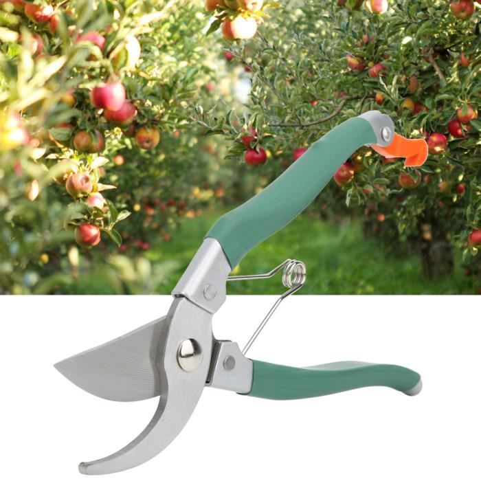 Ciseaux Bonsai Professionnels - Acier Inoxydable 180mm - Outil De Taille Précise Pour Jardiniers