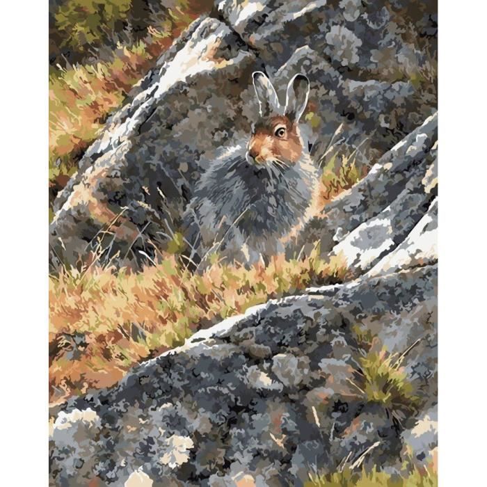 Kit de peinture par numéro, peinture numérotée – Paysage de montagne lapin  40,6 x 50,8 cm (encadré) [619] - Cdiscount Beaux-Arts et Loisirs créatifs