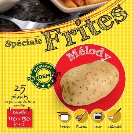 Plants de pomme de terre certifiés d'origine France - Spécial frites, purée, four, veloutés - Calibre 28/35 mm