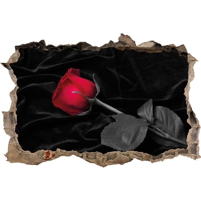 Rose rouge posé noir sur velours noir / mur blanc percée en 3D look, mur ou  format vignette de la porte: 92x62cm, stickers muraux... - Cdiscount Maison