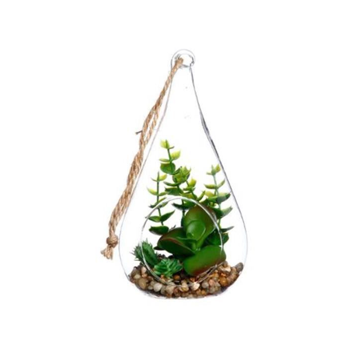 Terrarium en verre forme Goutte H19.5cm - SILUMEN - Succulente