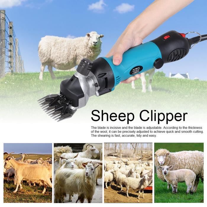 Meilleurs prix pour Mxzzand Tondeuse à moutons Cisailles à laine électriques portables pour moutons avec réglage de animalerie hygiene Prise UE 220V