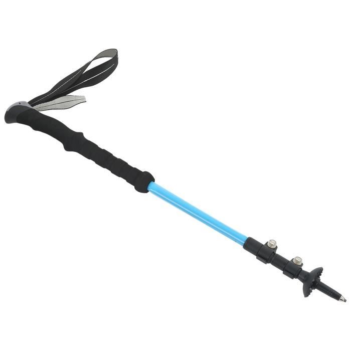 6 pièces accessoires Alpenstock de poteau de randonnée embout de