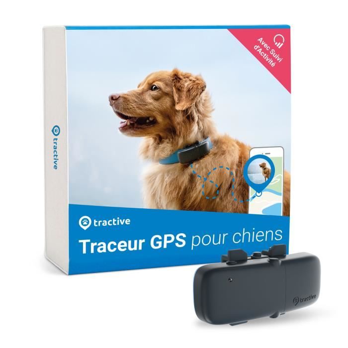 مكان الولادة جلس اقتبس Collier Chien Avec Puce Gps Dsvdedommel Com مكان الولادة جلس اقتبس Collier Chien Avec Puce Gps Dsvdedommel Com