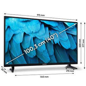 SHARP Harman Kardon Télé 40' Full HD - Noire - Maison