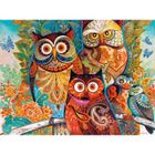Puzzle 2000 pièces - CASTORLAND - David Galchutt : Hiboux - Animaux - Intérieur - Adulte