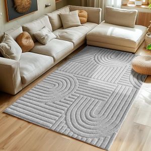 PSHCEE Grand Tapis de Salon 340 x 340 cm Lavable Tapis de Sol Doux Extra Large, Moelleux et Moderne pour Decoration Salon, Chevet, Gris Foncé
