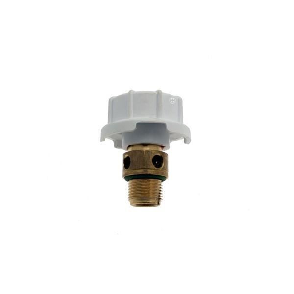 Bouchon pour Centrale vapeur PHILIPS