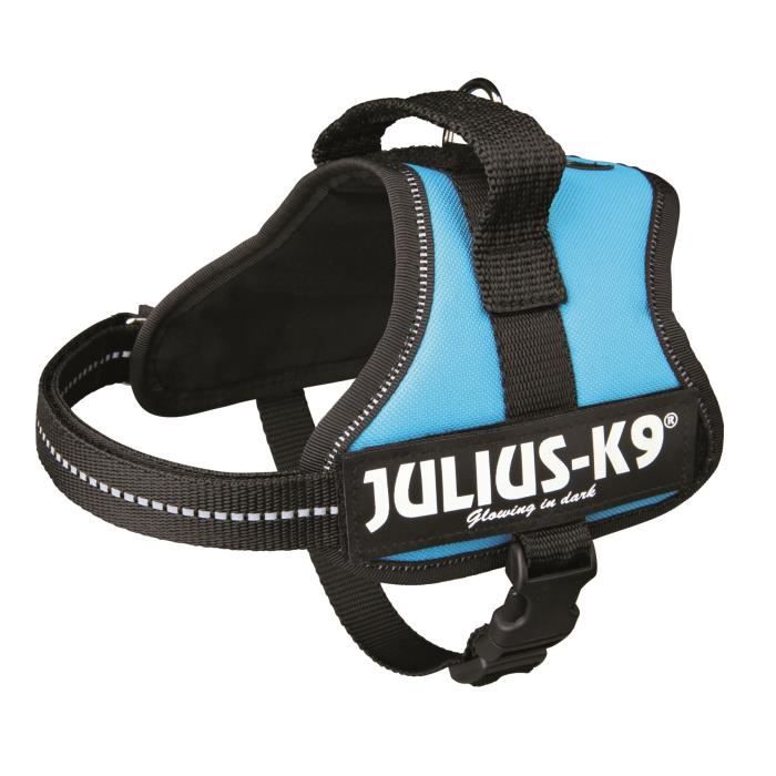 Harnais Power Julius-K9 - Mini-Mini - S : 40-53 cm-22 mm - Aigue-marine - Pour chien
