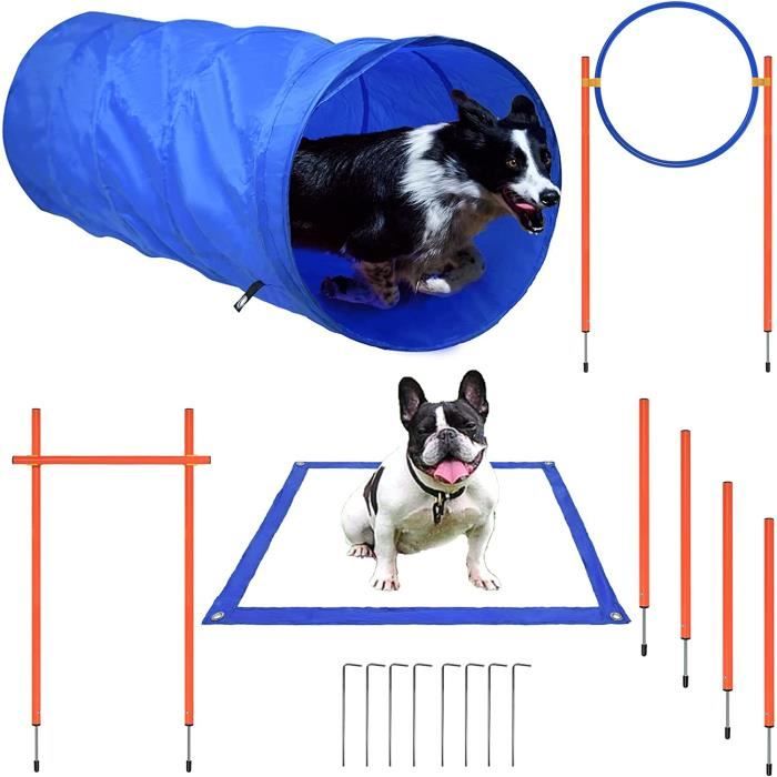 YUENFONG Ensemble d'équipement d'agilité pour Chien, Entraînement d'obstacles tunnel pour chiens Animaux de Compagnie