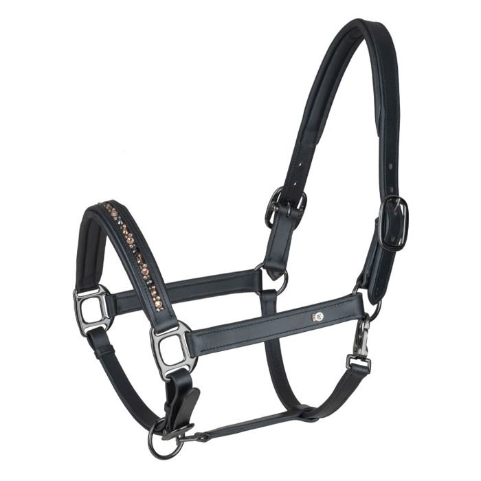 Meilleurs prix pour Licol pour cob en cuir Waldhausen Crystal