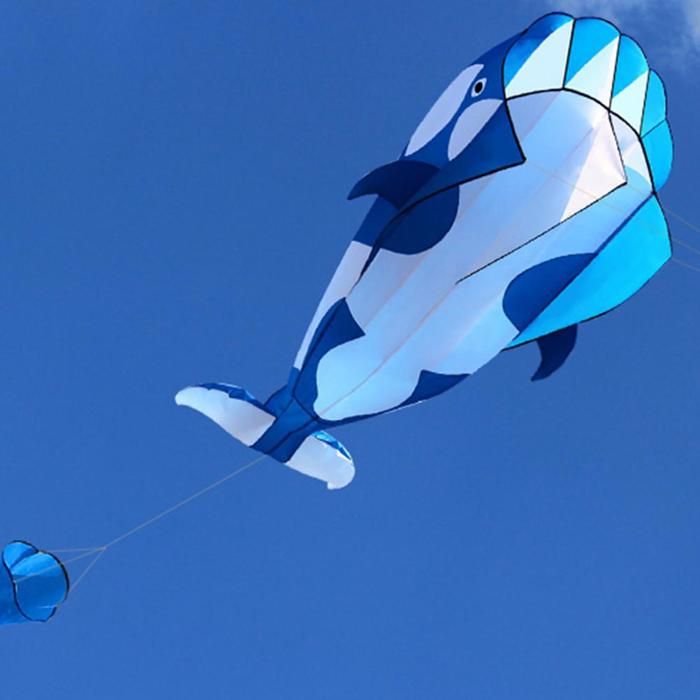 SURENHAP Kite 3D Kite Kite Large Blue Dolphin Beach Kites avec un énorme cadeau de parafoil doux sans jouets Bleu et blanc
