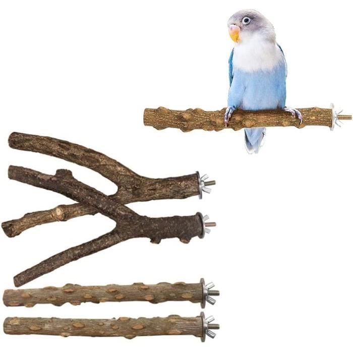 Perchoir Sur Pied Pour Perroquets Oiseaux Avec Accessoires