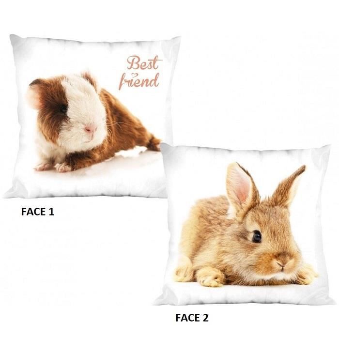 Coussin lapin blanc 40x40