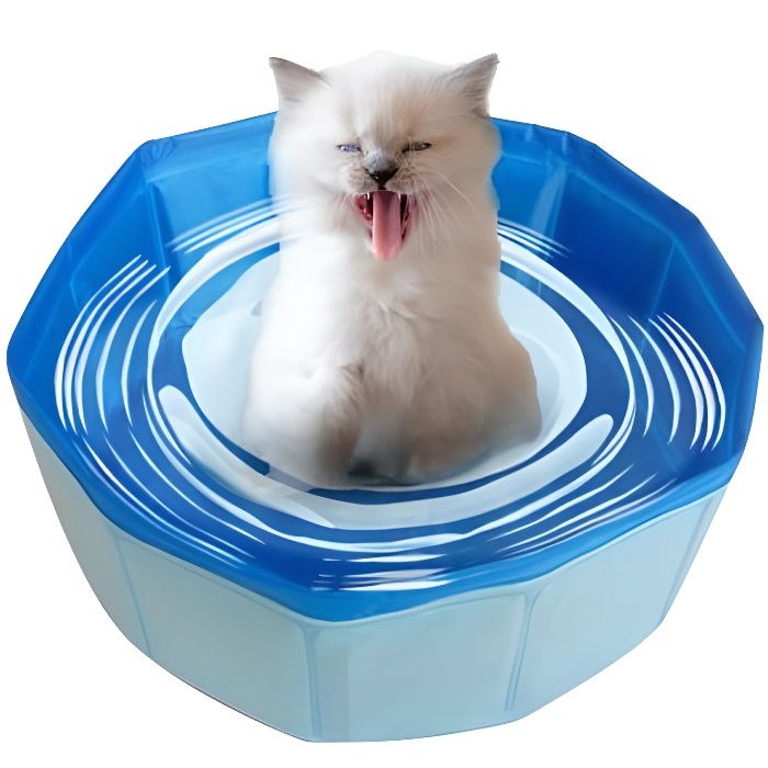 Pliable Pet Bain Piscine Pliable Hamster Lapin Bebe Chat Piscine Pet Baignoire Baignoire Piscine Pour Petit Nouveau Ne Bebe Animau 1 Cdiscount Pliable Pet Bain Piscine Pliable Hamster Lapin Bebe Chat Piscine Pet Baignoire Baignoire Piscine Pour Petit Nouveau Ne Bebe Animau 1 Cdiscount