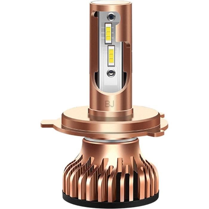 Phares à double source lumineuse LED pour le camping en plein