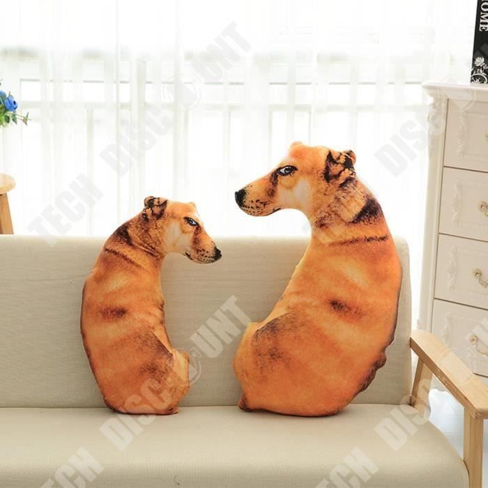 Coussin Oreiller Caca En Peluche 3D Drôle – Décoration Humoristique, Coussinet Pour Canapé, Idée Cadeau Originale Pour Enfants Et Amis (25x23cm)