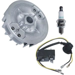 Suicide Offre Magistrat Carburateur Taille Haie Alpina Htj 550 Faire Le Ménage M