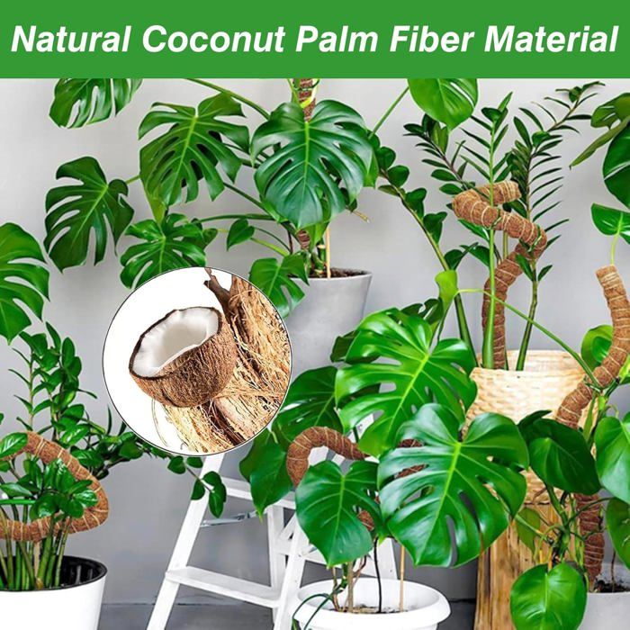 120cm Tuteur Monstera - Tuteur Plante Grimpante - Tuteur Coco Flexible -  Tuteur Plante avec Corde de Jute et Fermeture - Cdiscount Jardin