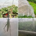 Filet de protection anti-insectes en maille fine pour jardin, serre, plantes, fruits, fleurs, cultures 2x5m-3