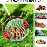 Collecteur De Noix Avec Manche Télescopique, Collecteur De Noix