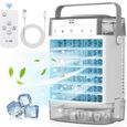 Climatiseur Mobile 4-en-1 -Double réservoir 1600 ml-Télécommande - Fonction minuterie et 7 voyants de couleur-gris