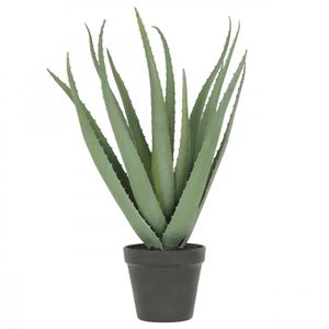 FLEUR ARTIFICIELLE Aloe vera artificiel 45cm