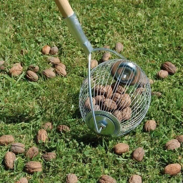 Boule ramasse noix - manche inox